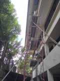 IMG-20241021-WA0023